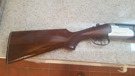 Hola: 
Se vende lamber superpuesta en muy buen estado de conservación y funcionamiento de dos gatillos.
Esta 01