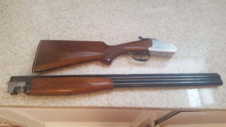Hola: 
Se vende lamber superpuesta en muy buen estado de conservación y funcionamiento de dos gatillos.
Esta 11