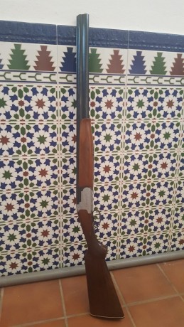 Hola: 
Se vende lamber superpuesta en muy buen estado de conservación y funcionamiento de dos gatillos.
Esta 10