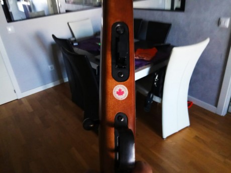 Un compañero me vende una carabina Rhenus 22 lr que seria mi regalo de cumple. Esta nueva y me la entregaria 00