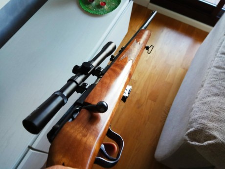 ¿Que tal le iría un visor Nikko Stirling Mountmaster 4-12×50 a la carabina Rhenus del 22 LR que quiero 00