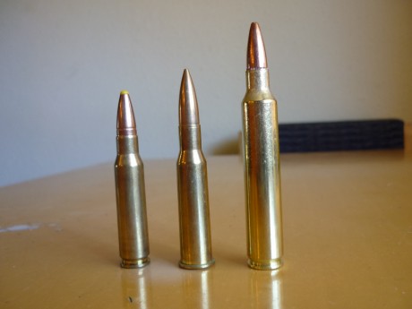 ...la que yo tengo, y es que dentro de unos años me he propuesto comprar un rifle como el que tengo, un 20