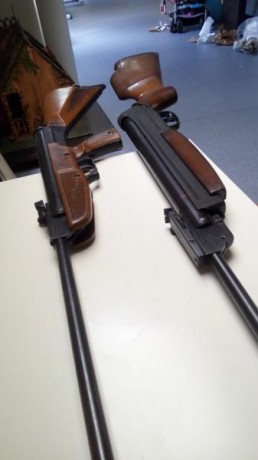 Hola, vendo 2 de los ejemplares mas representativos de la etapa "el gamo" completos, en estado 02