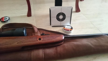 Hoy he tenido ocasion de probar esta carabina magnum.GAMO la anuncia como lo mejor que produce ,ademas 112