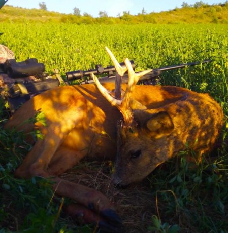 Buenos días a todos

Me dispongo a comprar mi primer rifle de caza para esta próxima temporada ( Solo 21