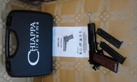 Buenas noches cambio destroyer en 9 mm largo con 3 cargadores  y pistola 1911-22 de chiappa con 2 cargadores, 02