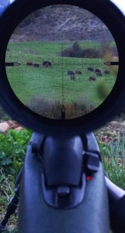  IMG_20181002_172451.jpg 



El rifle está recamarado en 7 RM y cuenta con los siguientes extras:

* Freno 20