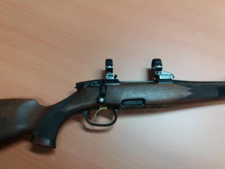 VENDO RIFLE MANNLICHER STEYER 30-06 EN MUY BUEN ESTADO TIENE MONTURA Y ANILLA DE APPEL. TODO SOLO POR 00