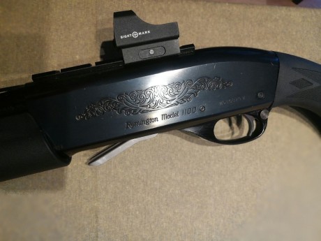 Hola estoy interesado en comprar una remington 1100,baikal 153 o 155, stoeger 2000 o 3000,hatsan escort 22