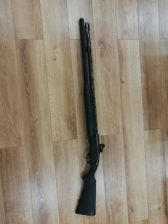 Hola estoy interesado en comprar una remington 1100,baikal 153 o 155, stoeger 2000 o 3000,hatsan escort 21