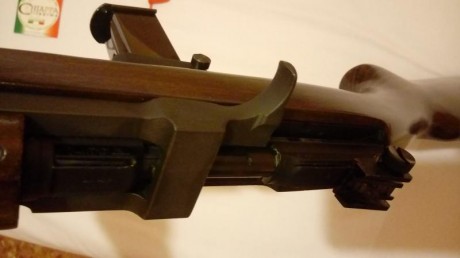  VENDIDA Vendo Carabina M1 de 9PB. de cuerpo de madera fabricada por Chiappa con tres cargadores dos de 11