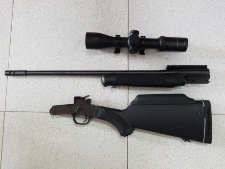 Monotiro Rossi calibre 308 W con visor Burris 1'5 - 6 x 42 y monturas desmontables. Color negro sintético. 01