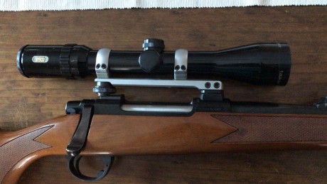 Hola a todos.Pedir perdon lo primero por confundir la marca del rifle. Estas cosas pasan cuando se hacen 21