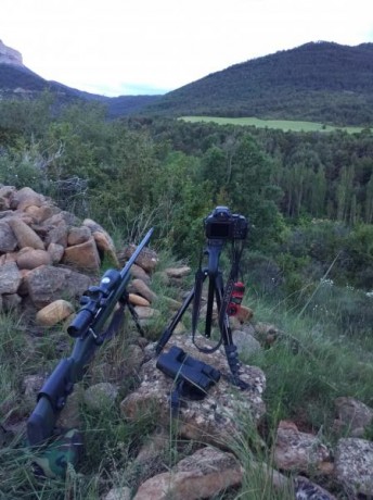  IMG_20181002_172451.jpg 



El rifle está recamarado en 7 RM y cuenta con los siguientes extras:

* Freno 50