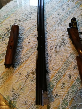 Vendo rizzini V3 trap, arma totalmente nueva solo probada, con la grasa de fabrica, cañon de 76cms, ventilados, 00