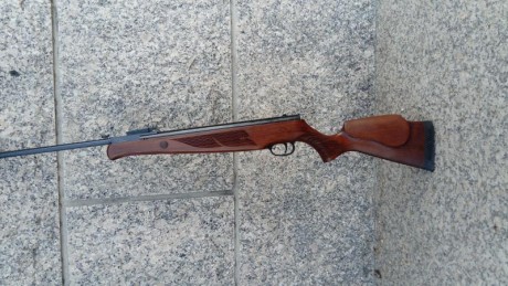 Hola, vendo norica storm en calibre 5.5, esta impecable y con muy poco uso, lleva montado el sello azul 11