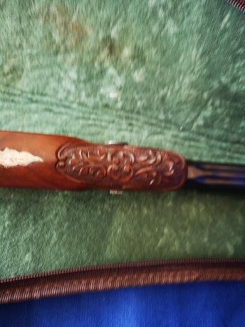 Vendo pistola Gastinnete 01