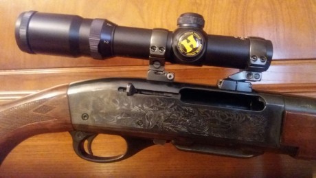 Vendo Remington 7400, en perfecto estado:
Visor: HAKKO 1x4 con tubo de 30
Punto rojo AIMPOINT 5000 xd
Fundas 00