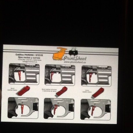 Hola a todos.
Estaría interesado en comprar una cacha diestra para una Match guns MG5 o MG5E de la talla 40