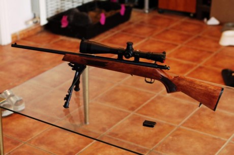 VENDO CARABINA RHENUS 22 WMR en perfecto estado.

La vendo porque no la uso. Se vende sin visor y sin 02
