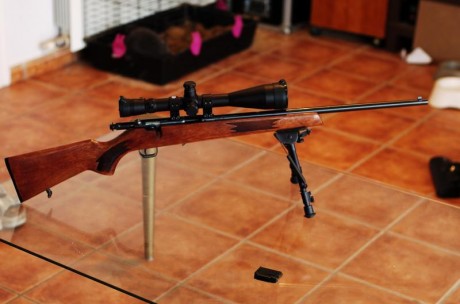 VENDO CARABINA RHENUS 22 WMR en perfecto estado.

La vendo porque no la uso. Se vende sin visor y sin 00