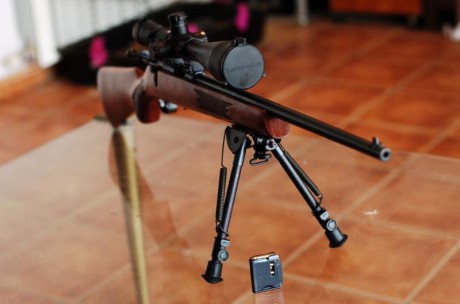 VENDO CARABINA RHENUS 22 WMR en perfecto estado.

La vendo porque no la uso. Se vende sin visor y sin 12