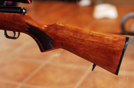 VENDO CARABINA RHENUS 22 WMR en perfecto estado.

La vendo porque no la uso. Se vende sin visor y sin 11