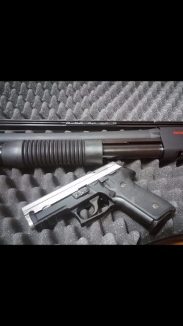 Hola, pongo a la venta mi Sig Sauer P229 y mi escopeta de corredera Winchester sxp defender hig capacity. 02