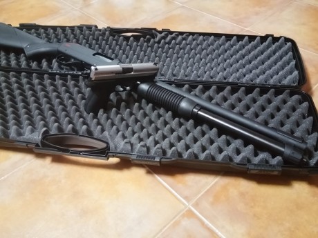 Hola, pongo a la venta mi Sig Sauer P229 y mi escopeta de corredera Winchester sxp defender hig capacity. 01