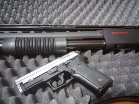 Hola, pongo a la venta mi Sig Sauer P229 y mi escopeta de corredera Winchester sxp defender hig capacity. 00