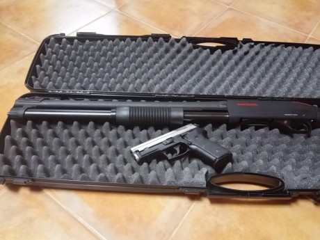 Hola, pongo a la venta mi Sig Sauer P229 y mi escopeta de corredera Winchester sxp defender hig capacity. 12