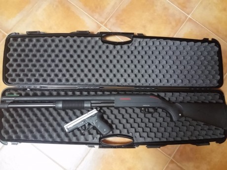 Hola, pongo a la venta mi Sig Sauer P229 y mi escopeta de corredera Winchester sxp defender hig capacity. 11