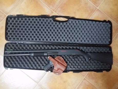Hola, pongo a la venta mi Sig Sauer P229 y mi escopeta de corredera Winchester sxp defender hig capacity. 10