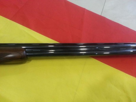 No tiene apenas uso. Extrtaordinaria escopeta a la altura de las mejores armas para el tiro al plato.Cambio 30