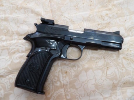 Vendo Pistola Llama del calibre 22 LR en estado IMPECABLE!!
Viene con dos cargadores.

Precio: 300€

La 02