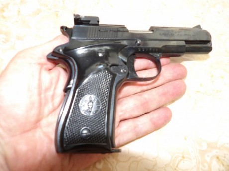 Vendo Pistola Llama del calibre 22 LR en estado IMPECABLE!!
Viene con dos cargadores.

Precio: 300€

La 00