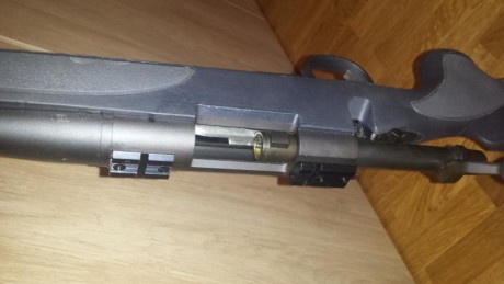 Vendo Remington 700 en calibre 300 WSM ideal para recechos.
El rifle lo compre para preparar un rifle 10