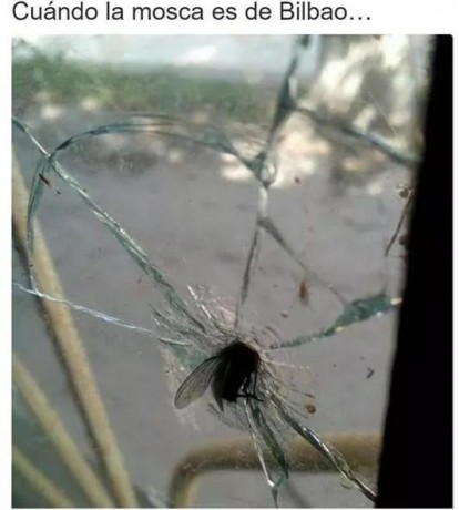 ¡Muy buenas a todos!

Estaba dando un paseo por el foro, cuando me he dado cuenta de que no había un hilo 110