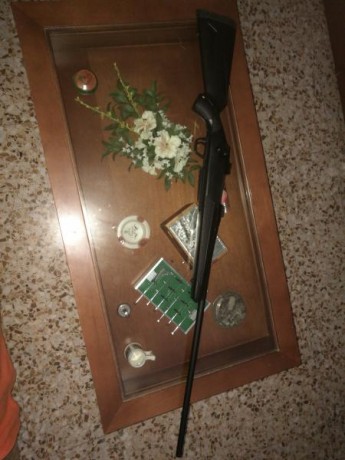 Buenos días a todos

Me dispongo a comprar mi primer rifle de caza para esta próxima temporada ( Solo 90