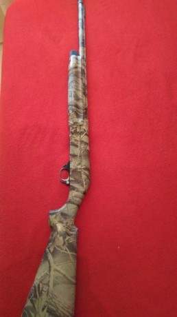 Vendo Benelli, modelo 121 con cañón fijo de tres estrellas y 71 cm. Tiene hecha la hidroimpresion por 01