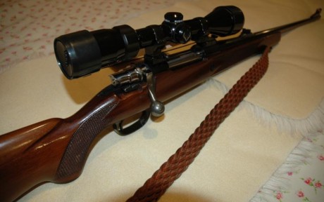 ¡Hola!

Poseo un rifle Santa Bárbara en calibre 308 modelo Luxe;  cuya culata de madera está impoluta, 20