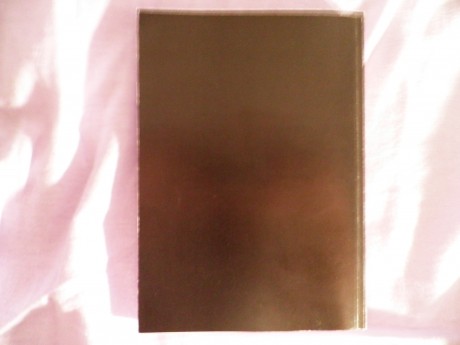 Busco libro de recarga de Rene Malfati nº 3. Es un libro con pastas de carulina, tamaño de medio folio 101