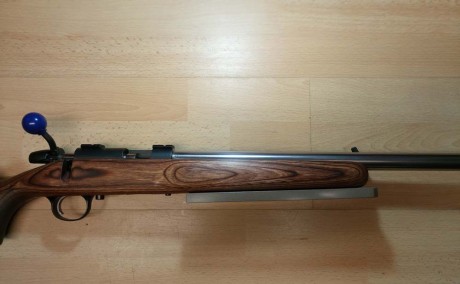 Pongo a la venta una carabina Remington 22Lr. con cañon Match pesado y flutet en inox.
Es el modelo 504-T 01