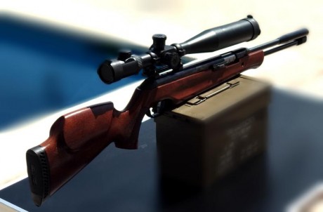 Walther LGU Master (solo se vende la carabina)

Calibre .177 4,5 a 16 Julios

Pistón rotativo que reduce 01