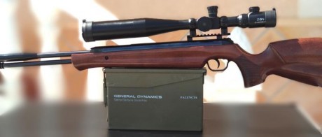 Walther LGU Master (solo se vende la carabina)

Calibre .177 4,5 a 16 Julios

Pistón rotativo que reduce 00