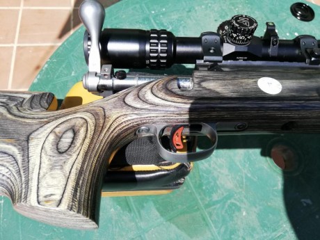 Vendo rifle Savage 12, calibre .308, una magnifica combinación de cañon del F/TR y la culata del PALMA.
Cañon 21