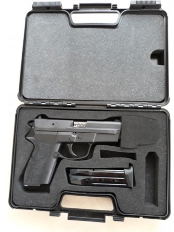 BUSCO PISTOLA SIG-SAUER P-210 DE 5 PULGADAS QUE ESTÉ EN BUEN ESTADO. 10
