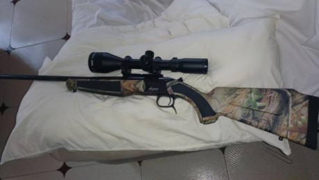 Cambiaria el monotiro con monturas y visor pentaflex (no es el de la foto) por rifle de cerrojo en 308 00