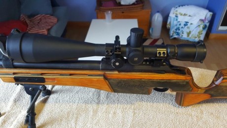 VENDO EN CONJUNTO:  PRECIO 2100 € + GASTOS.

fUSIL TIKKA SPORTER
VISOR SIGHTRON SII 10-50X60
ANILLAS HAWKE
BASE 11