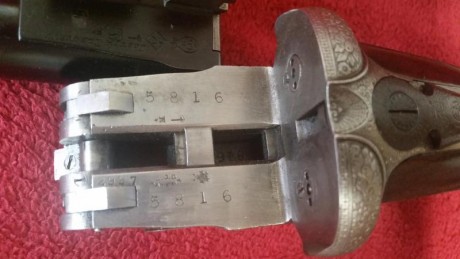 Escopeta belga,calibre 12 de apertuta automática tipo purdey, calibre 12, expulsora, 70 de cañon,fabricada 00